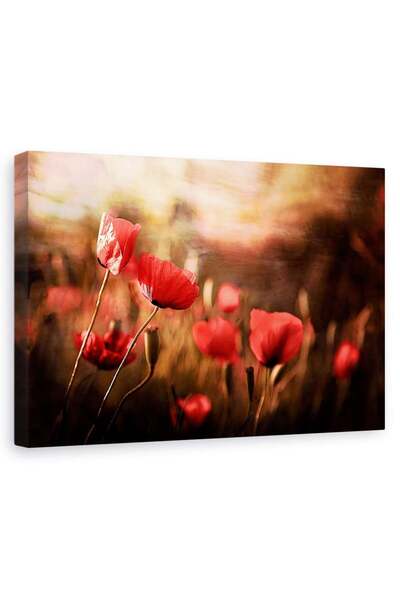 Tablouri Decor Tablou canvas - Aerul Diminetii, Maci, Vara, Floare, 40 x 60 cm