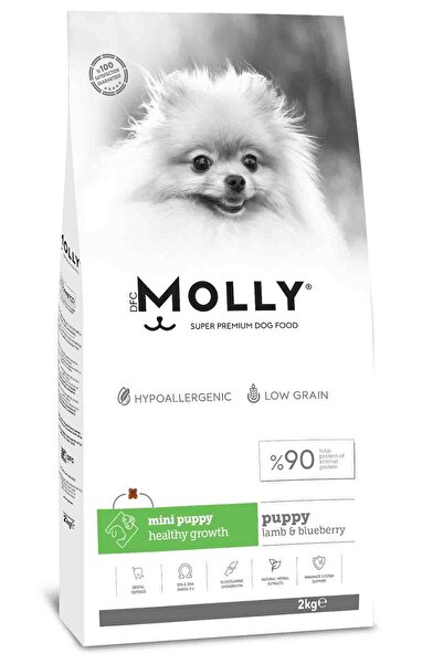 Molly Hipoalerjenik Kuzu Etli ve Yaban Mersinli Küçük Irk Düşük Tahıllı Yavru Köpek Maması 2kg