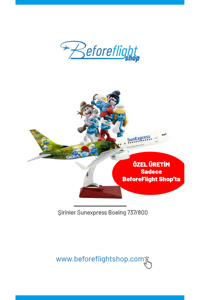 Beforeflightshop B737-800 Şirinler