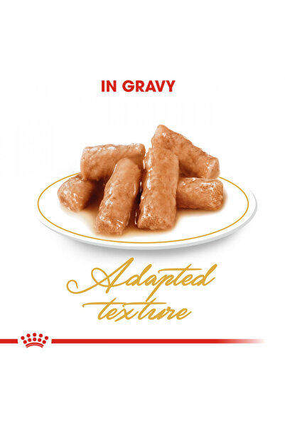 Royal Canin British Shorthair için Yaş Kedi Maması 85g