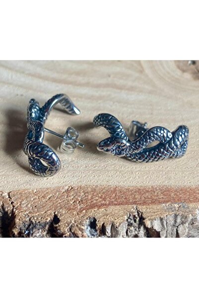 Viking Snake Design Nail Model 316L Stainless Tarnish-Free Steel Earrings Pair