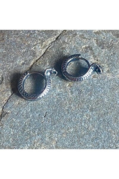 Viking Snake Design Hoop Earrings 316L Stainless Steel Tarnish-Free Earrings Pair
