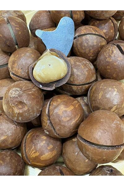 Nakkaşoğlu Kuruyemiş Kabuklu Makademya Fındığı 1 Kg