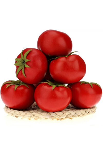 Artificiale Rolio Τεχνητές ντομάτες για διακόσμηση, μέγεθος 8 x 6 cm - 3 τεμάχια