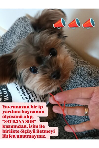 La fee aksesuar İsimli Köpek Kedi Tasması Özel Harfli Köpek Kolyesi Künyesi Lastikli