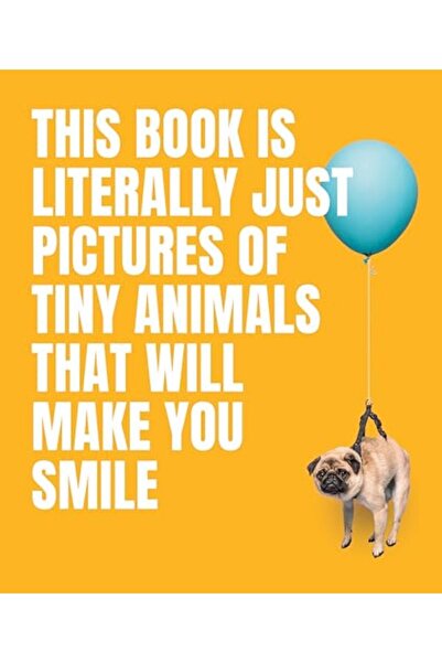 Hachette This Book Is Literally Just Pictures Of Tiny Animals That Will Make ...