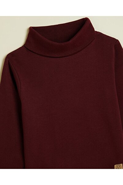 R&B Solid T-Shirt with Turtleneck and Long Sleeves