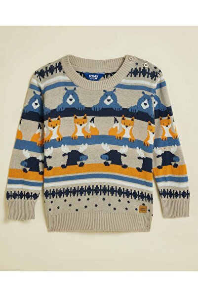 R&B Patterned Sweater with Crew Neck and Long Sleeves