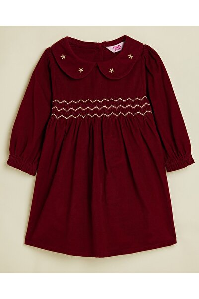 R&B Embroidered Fit & Flare Dress with Long Sleeves