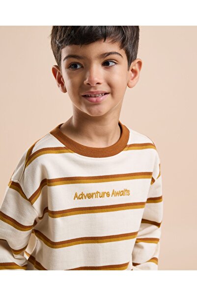 R&B تي شيرت مخطط برقبة دائرية وأكمام طويلة