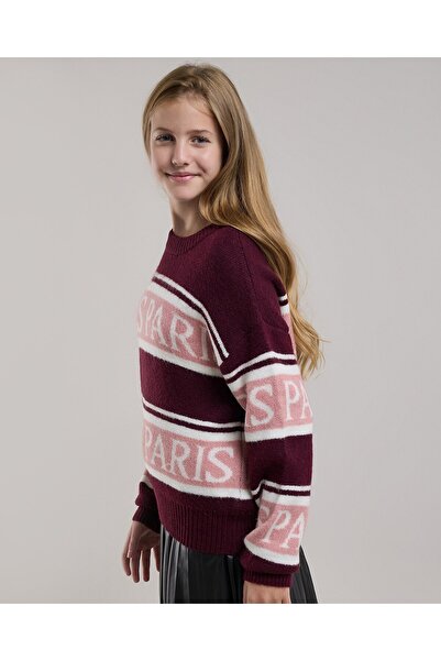 R&B Patterned Sweater with Crew Neck and Long Sleeves