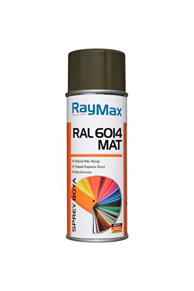 RayMax Sprey Boya 6014 Mat