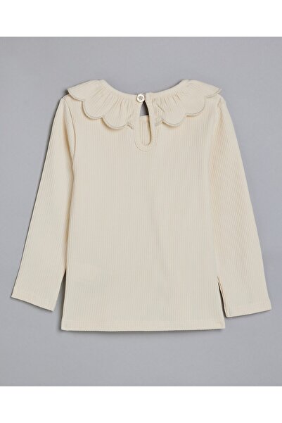 R&B Ribbed Collared Top with Long Sleeves