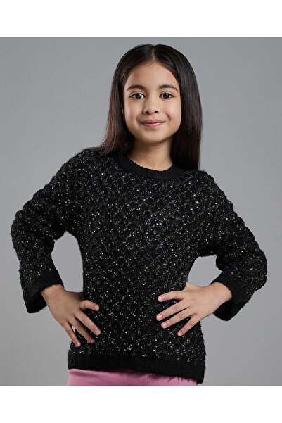 R&B Textured Sweater with Crew Neck and Long Sleeves