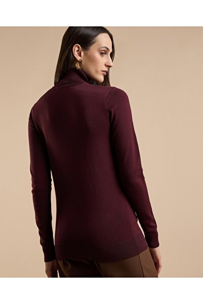 R&B Solid Sweater with Turtleneck and Long Sleeves