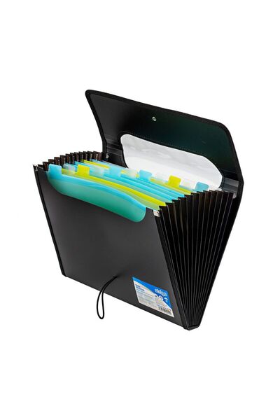 Strigo Expandable plastic folder A4, 12 compartments, black SF038