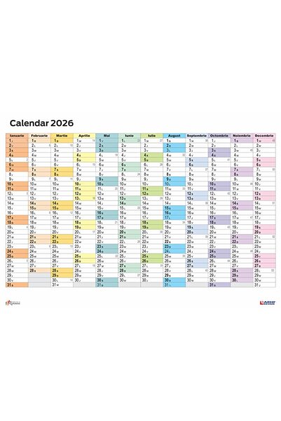 Arhi Design Calendar Planner Anual de Perete 2026