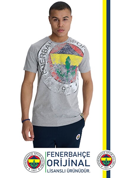 Fenerbahçe Original Licensed 6 Colors Logo Gray Tribune T-Shirt