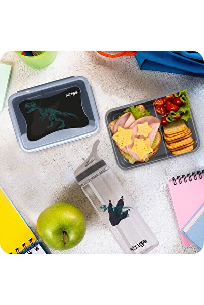 Strigo Dinosaur compartmentalized food box SSC264