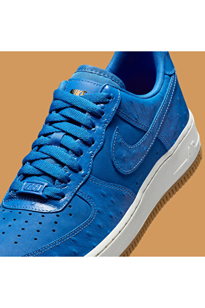 Nike AIR FORCE 1 LOW “BLUE STAR” DZ2708-400