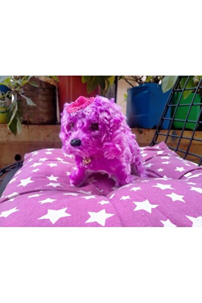 STOREMAX Pıllı Havlayan Kopek - Mor - 15 Cm Oyuncak 1169806