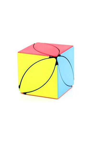 BV Μαγικός κύβος 2x2x2 FanXin Maple Leaf Ivy