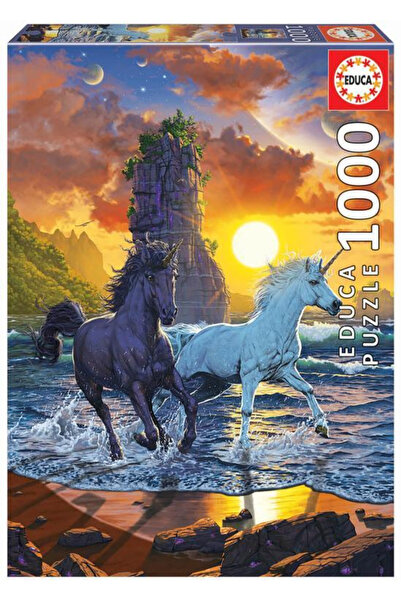 EDUCA Puzzle 1000 pieces Unicorns on Beach 19025