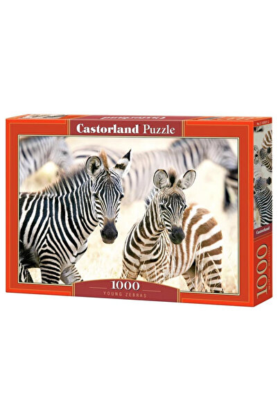 Castorland Puzzle 1000 piese Zebre tinere 105021