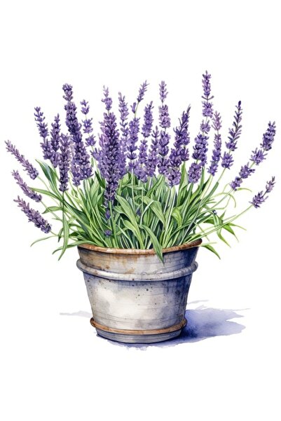 BV Autocolant decorativ - Ghiveci cu lavandă, violet, 62 cm