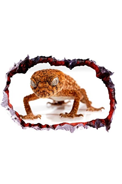 BV Autocolant decorativ 3D „Gaură în perete” - Broască, 85 cm