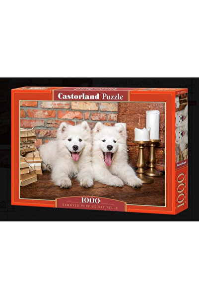 Castorland Παζλ 1000 κομμάτια Σαμογιέντ Κουτάβια Περιστέριζουν 105137