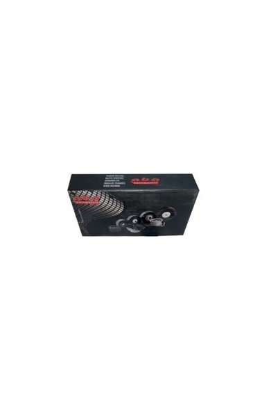 ABA 25850169 Alternator Gergi Bilyasi