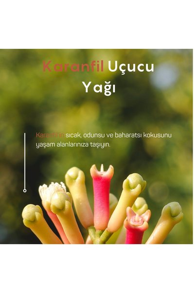 Gülhanya Aromaterapi Karanfil Uçucu Yağı 10ml
