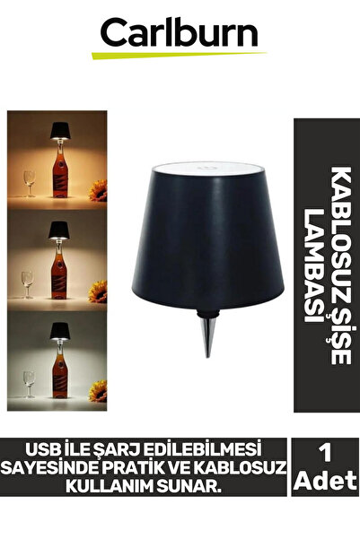 Carlburn Özel Tasarım Şarjlı Balkon Bahçe Oda Dekorasyonu Masaüstü Aydınlatma...
