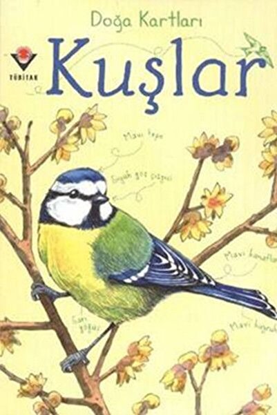 Timaş Yayınları Nature Cards - Birds