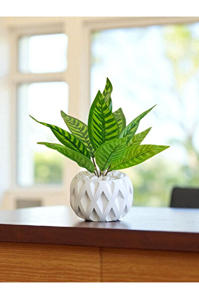 zanfagroup Beton Saksıda Dekor Taşlı Yapay Kılıç Çiçeği (24-28CM)