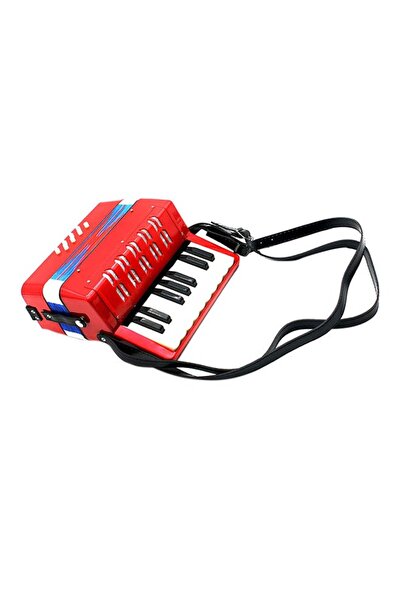 COOYA Accordion Educational Musical Toy,for Kids