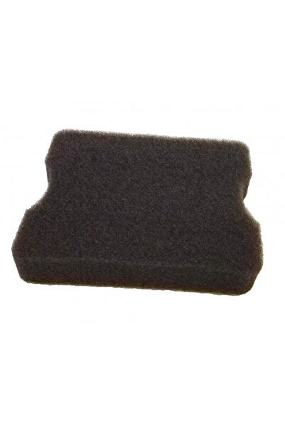 China Filtru burete aer motocoasă model nou