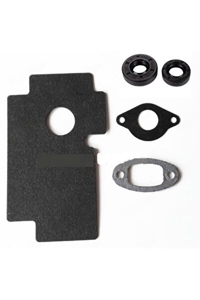 China Garnituri și simeringuri drujbă chineză 2500