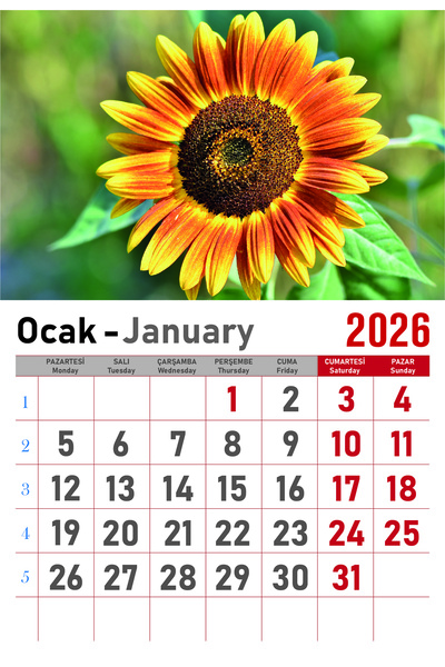 Orkide Matbaacilik Takvim - Spiralli 12 Yaprak 32x47 Cm - Çiçek Resimli Kuşe Kağıt Duvar Takvimi - 2026
