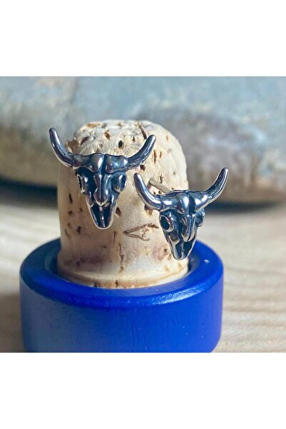 Viking Skull Gothic Special Design 316L Stainless Tarnish Free Steel Earrings Pair