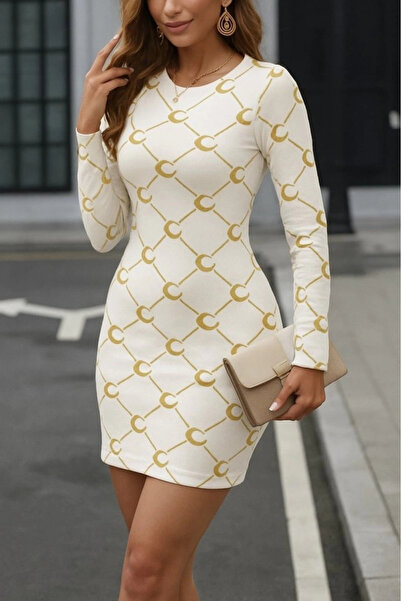 ARONA Mdb Women's Crew Neck Long Sleeve Knitwear Mini Length Dress