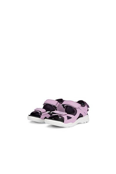 Ecco رذاذ اللافندر من بيوم رافت