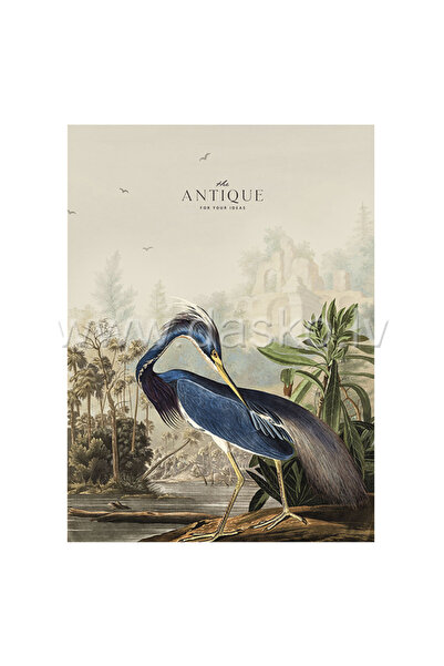 SHKOLYARYK A4 notebook 80 sheets math