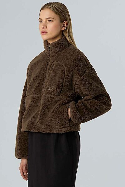 THE NORTH FACE Kadın Extreme Pıle 2 Kazak