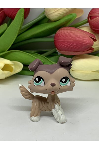 Littlest Pet Shop Hayvan Figür Oyuncak
