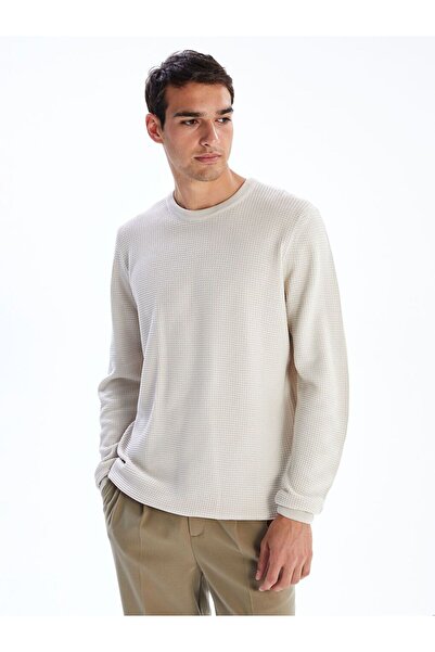 LC Waikiki Lcw Vision Crew Neck Checkered Men's Knitwear Sweater