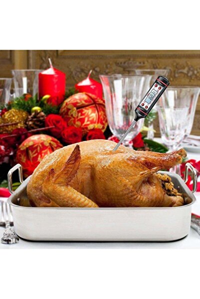 Generic food thermometer