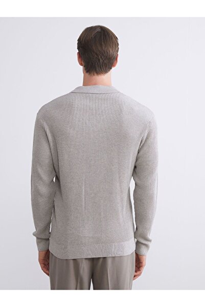 LC Waikiki LCW Vision Polo Yaka Erkek Triko Kazak