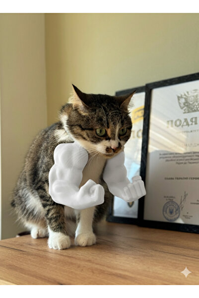 Genel Markalar Hulk Kaslı Kedi Kostümü – Mizahi Evcil Hayvan Aksesuarı